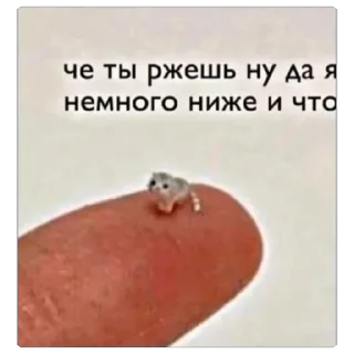 Стикер да, ачто? - 1