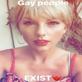 Sticker daaaamn im not gaaaaaaay - 11