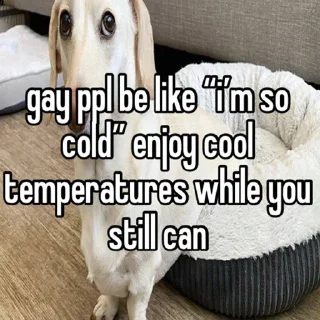 Sticker daaaamn im not gaaaaaaay - 7