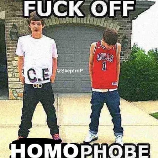 Sticker daaaamn im not gaaaaaaay - 6