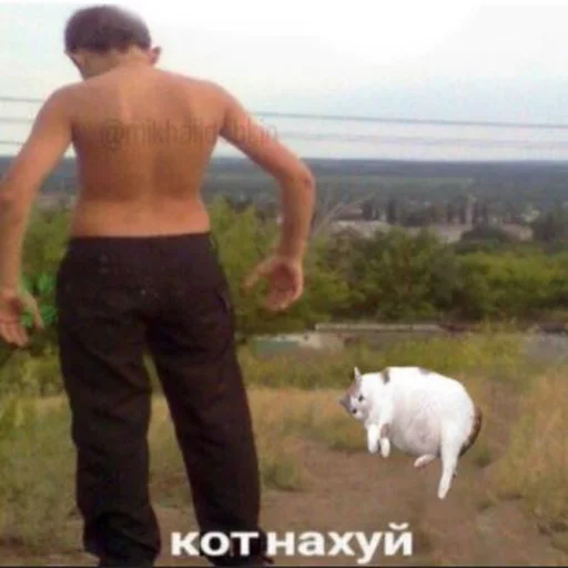 person outdoor animal