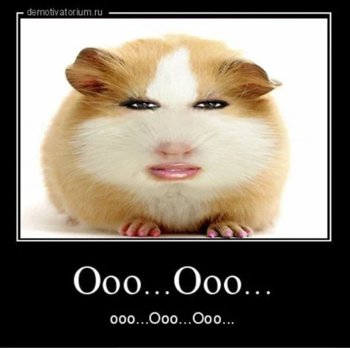 животное млекопитающее СМС