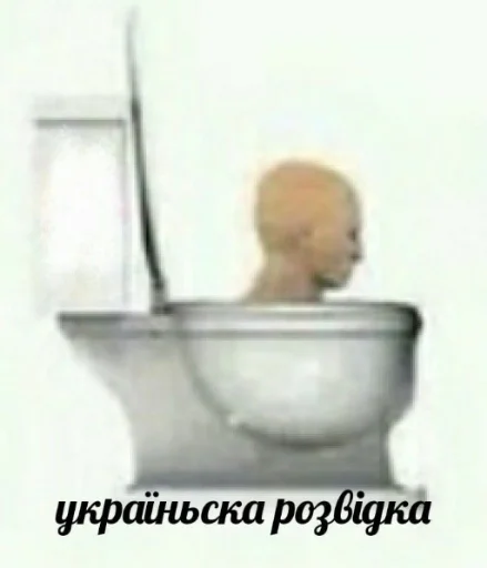 ванная комнатный чаша