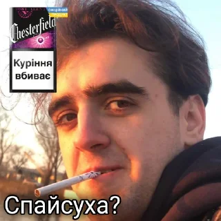 Sticker ДачаМомэнт - 5