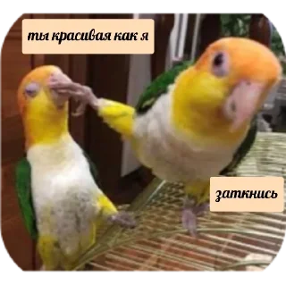 Стикер флекс - 1