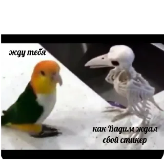 Стикер флекс - 6