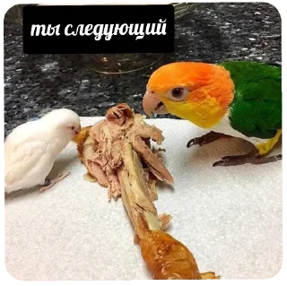 Стикер флекс - 7