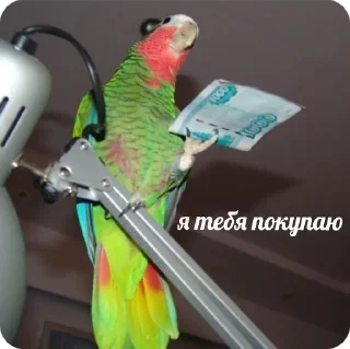 Стикер флекс - 5