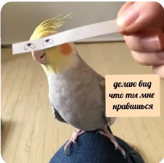 Стикер флекс - 3