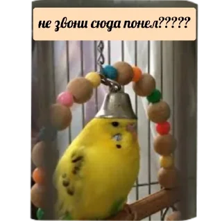 Стикер флекс - 4