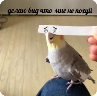 Стикер флекс - 9