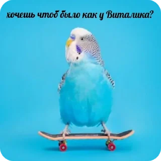 Стикер флекс - 11