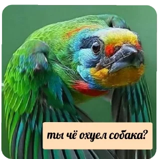 Стикер флекс - 10