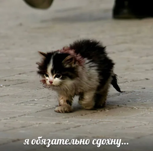 Стикер dahuiznaet - 1