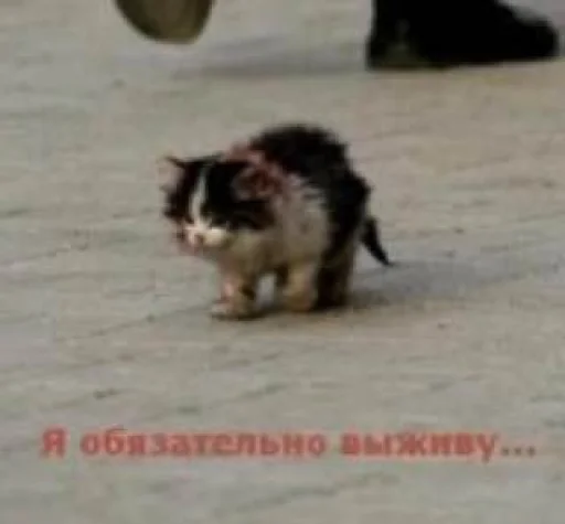 Sticker dahuiznaet - 1