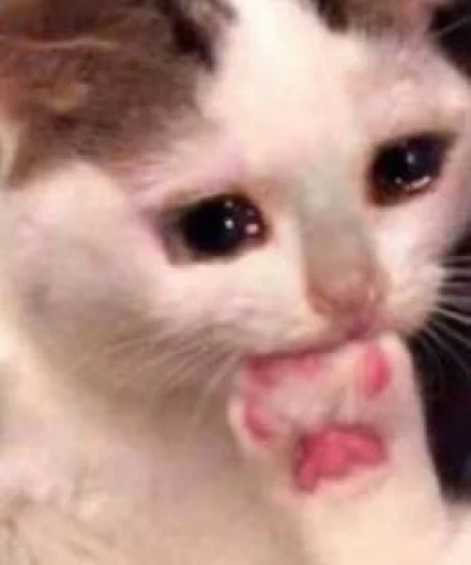 Стикер dahuiznaet - 1