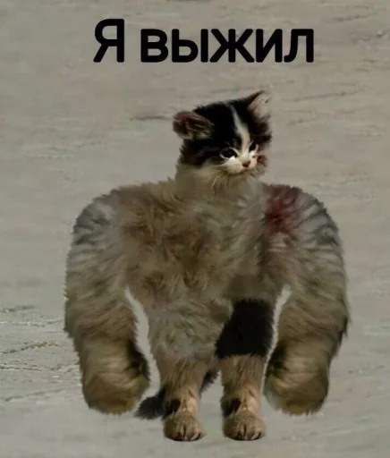 Стикер dahuiznaet - 1