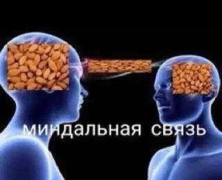 Sticker рандомная хуйня на все случаи жизни - 4