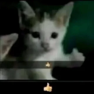 Sticker рандомная хуйня на все случаи жизни - 11