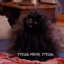 clothing headdress hat