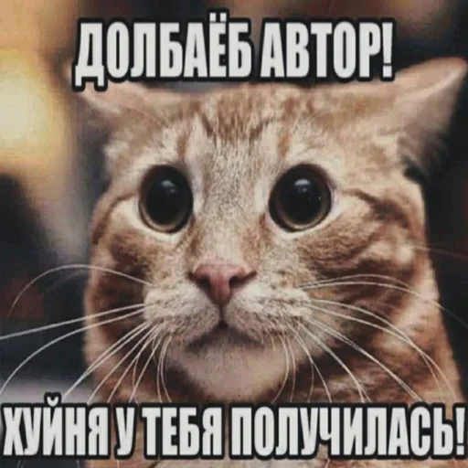 Стикер daixz - 1