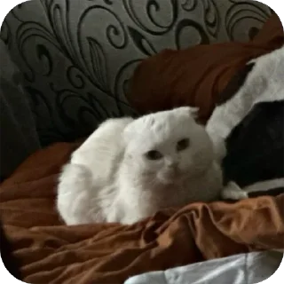 Sticker дакки - 7