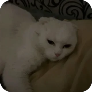 Sticker дакки - 3