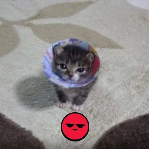 Стикер dalbaev - 1