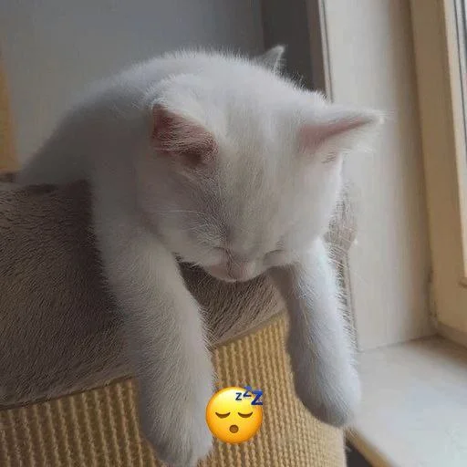 Стикер dalbaev - 1