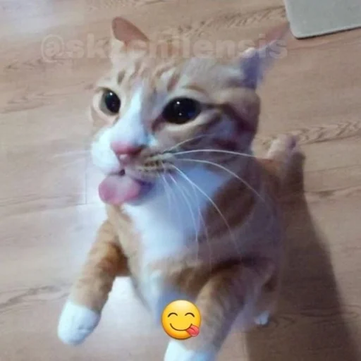 Стикер dalbaev - 1