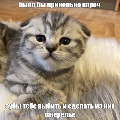 Стикер dalbaev - 1