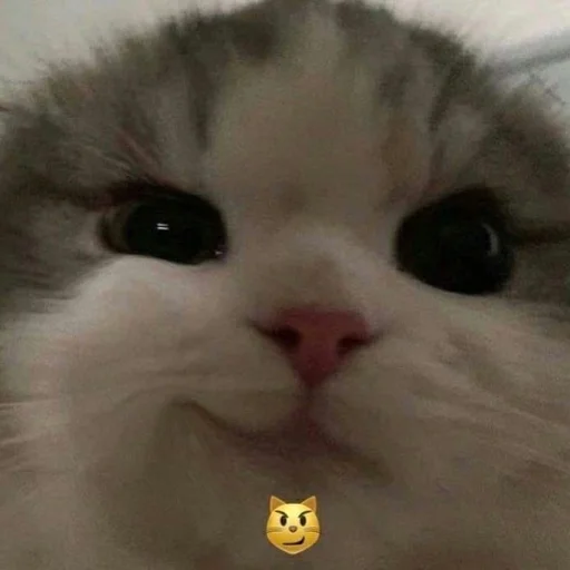 Стикер dalbaev - 1