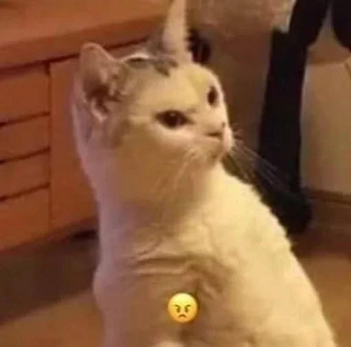 Стикер dalbaev - 1