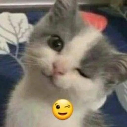 Стикер dalbaev - 1