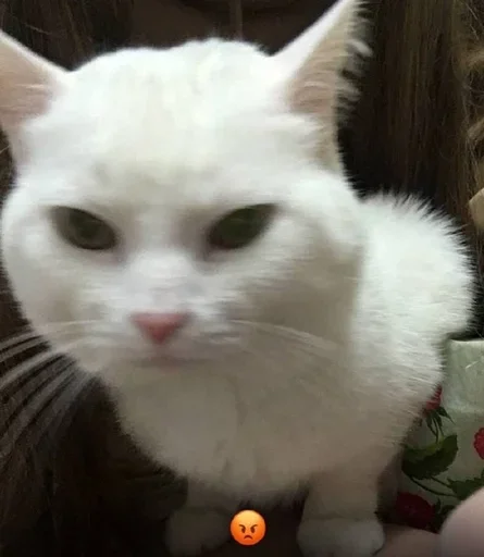 Стикер rmnrnrb4h3be - 11