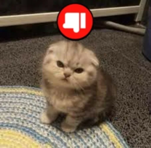 Стикер rmnrnrb4h3be - 10