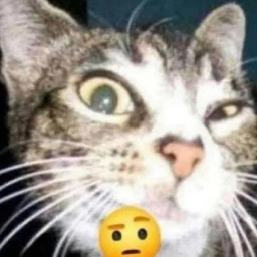 Стикер rmnrnrb4h3be - 4