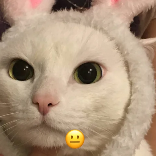 Стикер rmnrnrb4h3be - 3