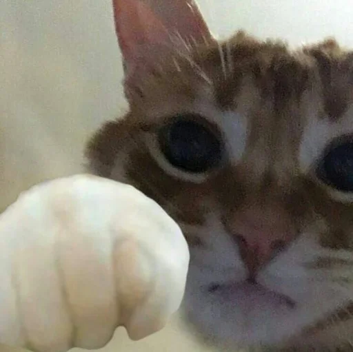 Стикер rmnrnrb4h3be - 2