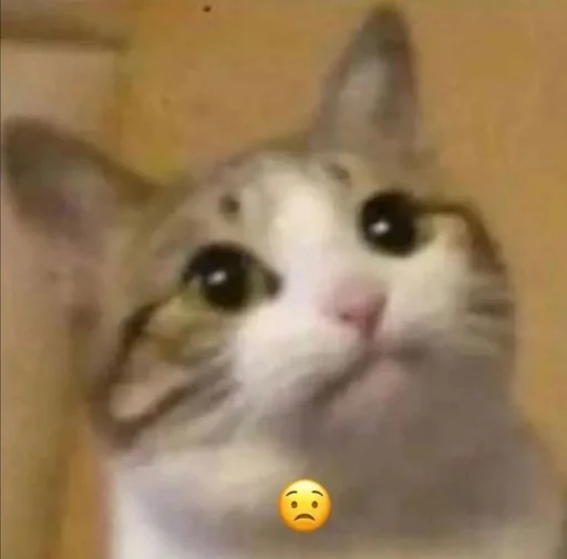 Стикер rmnrnrb4h3be - 0