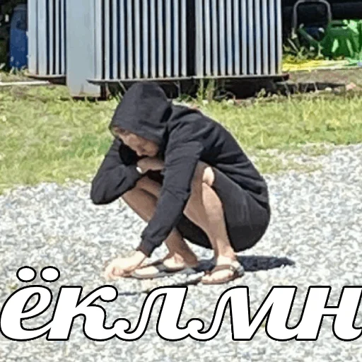 Sticker dalee_animals - 1