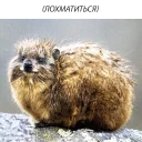 животное млекопитающее наземное животное