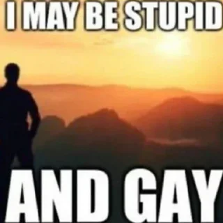 Стикер 𝐃𝐚𝐦𝐧, 𝐈❜𝐦 𝐬𝐨 𝐬𝐭𝐮𝐩𝐢𝐝 ☻ - 0