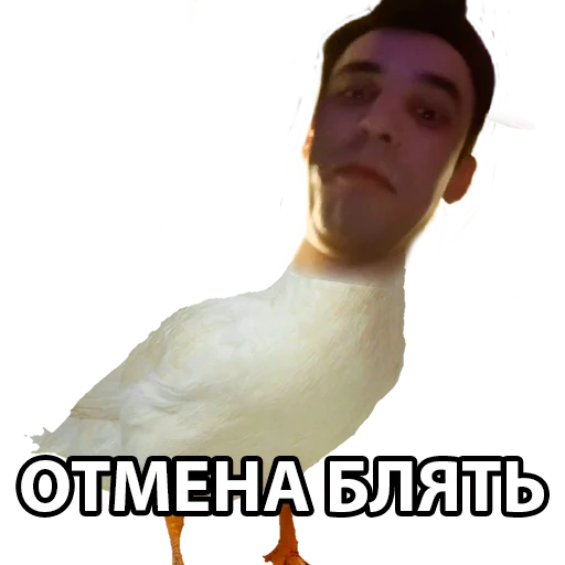 Стикер dance_world - 1