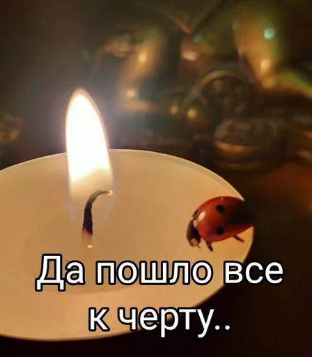 данечка :: @fStikBot - СМС