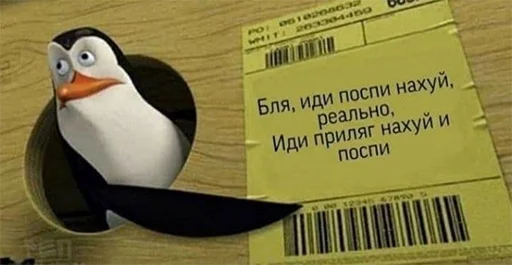 text penguin bird