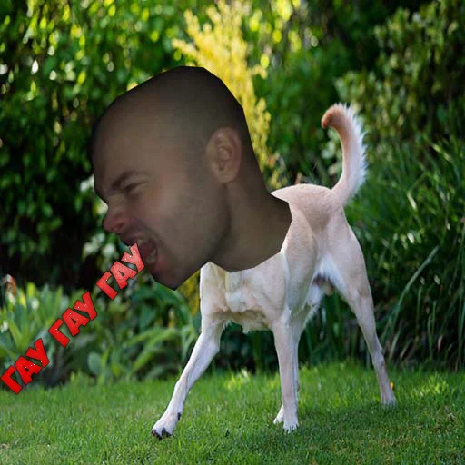 grass outdoor dog breed