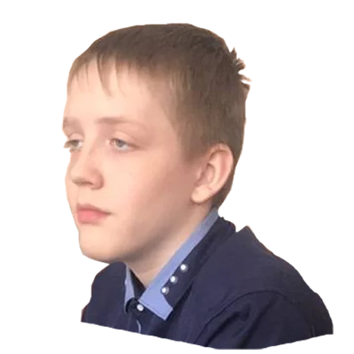 Стикер danik_officialpack - 1