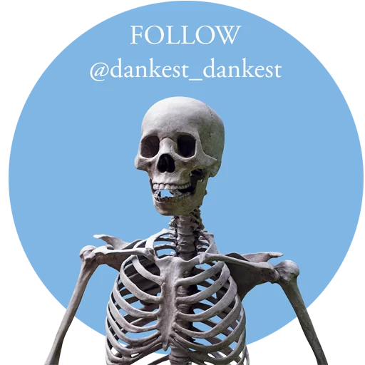 $$$ DANK MEMES $$$ - 