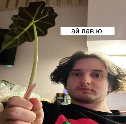 Стикер данкар? :: @fStikBot - 4